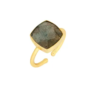 Darcy Ring Labradorite