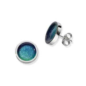 Enamel Silver Stud Earrings EE448