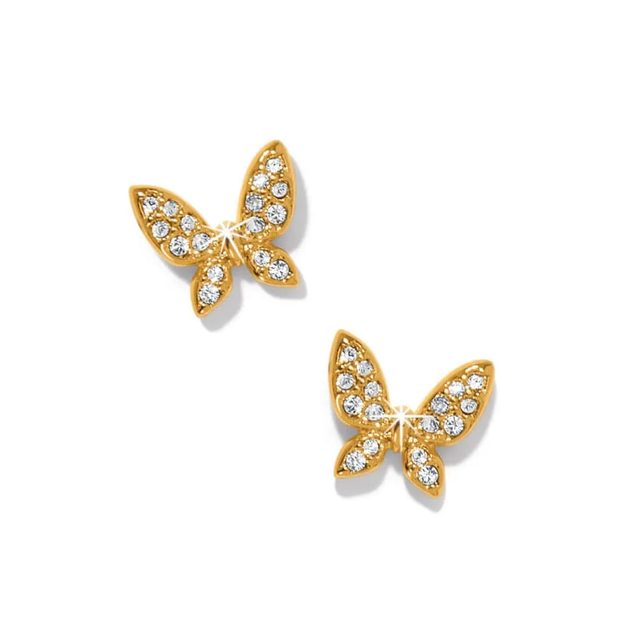 Enchanting Butterfly Post Earrings