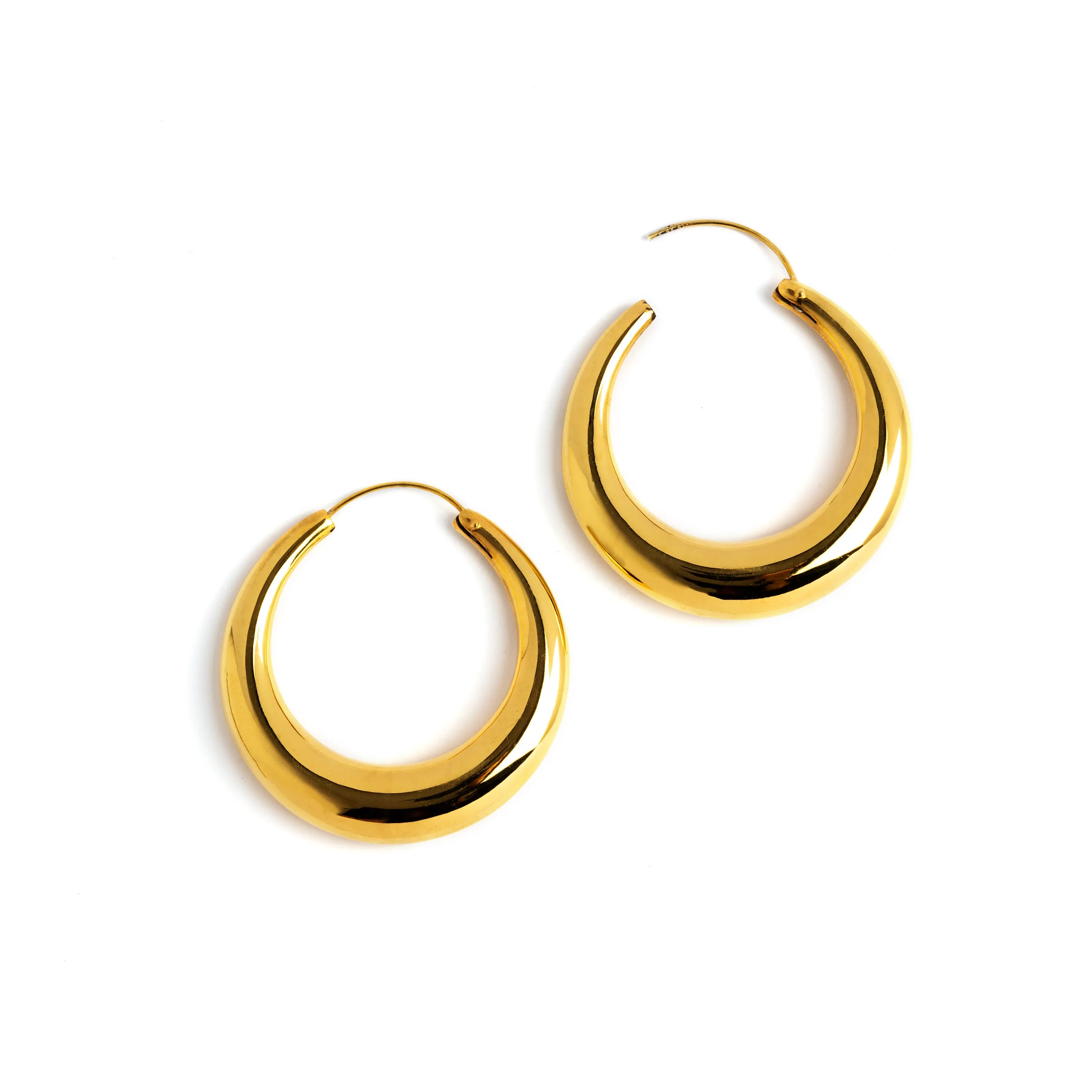 Golden Glow Hoop Earrings