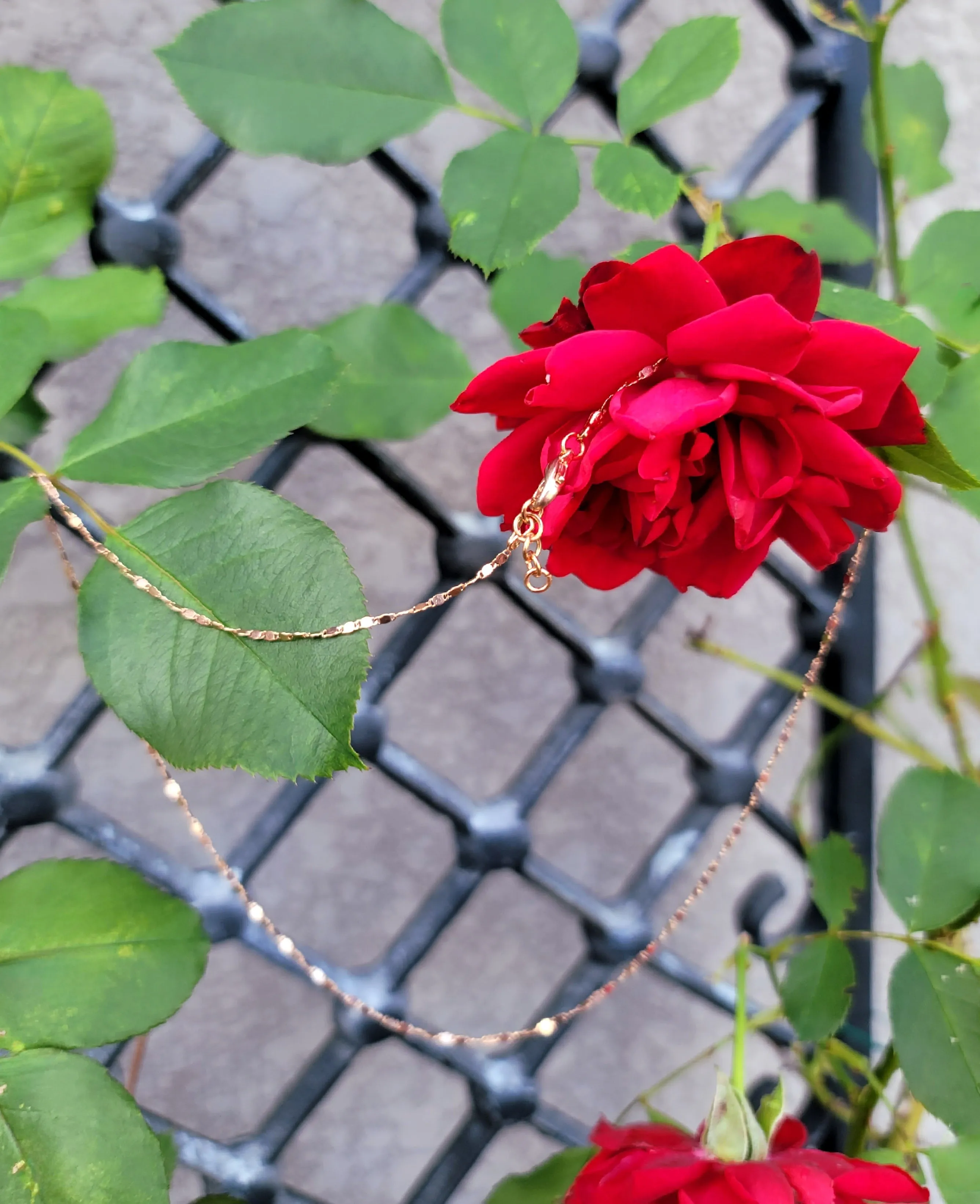 Shimmering Rose Chain