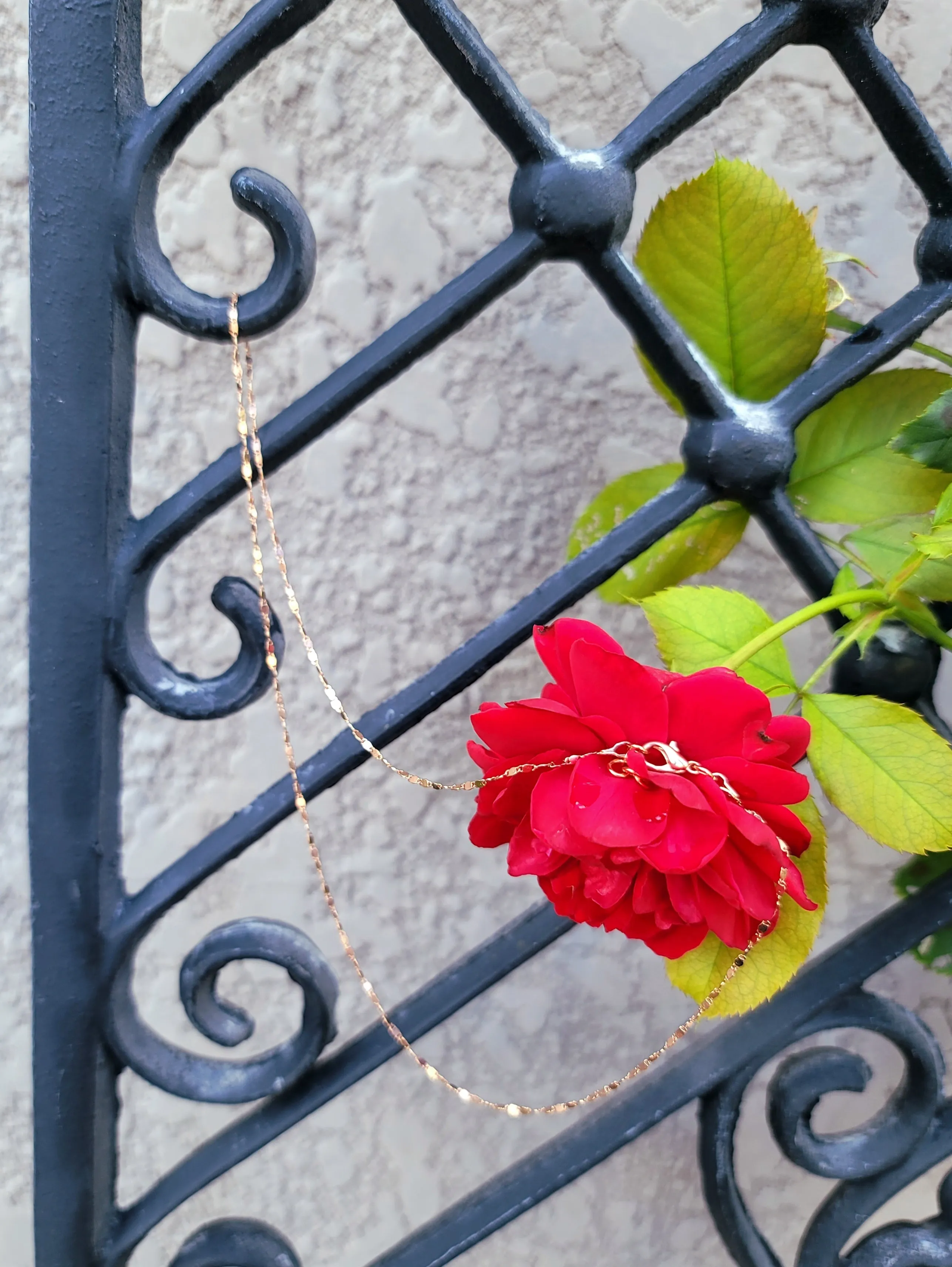 Shimmering Rose Chain