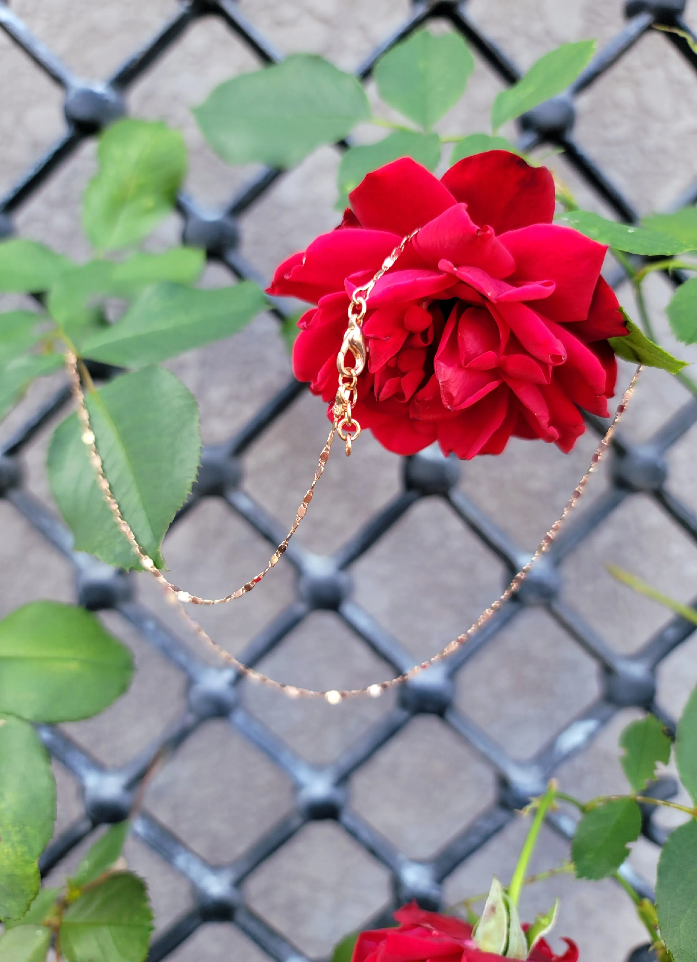 Shimmering Rose Chain