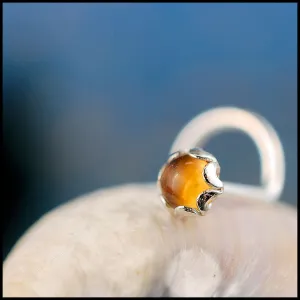 Sunny Citrine and Silver Nose Stud